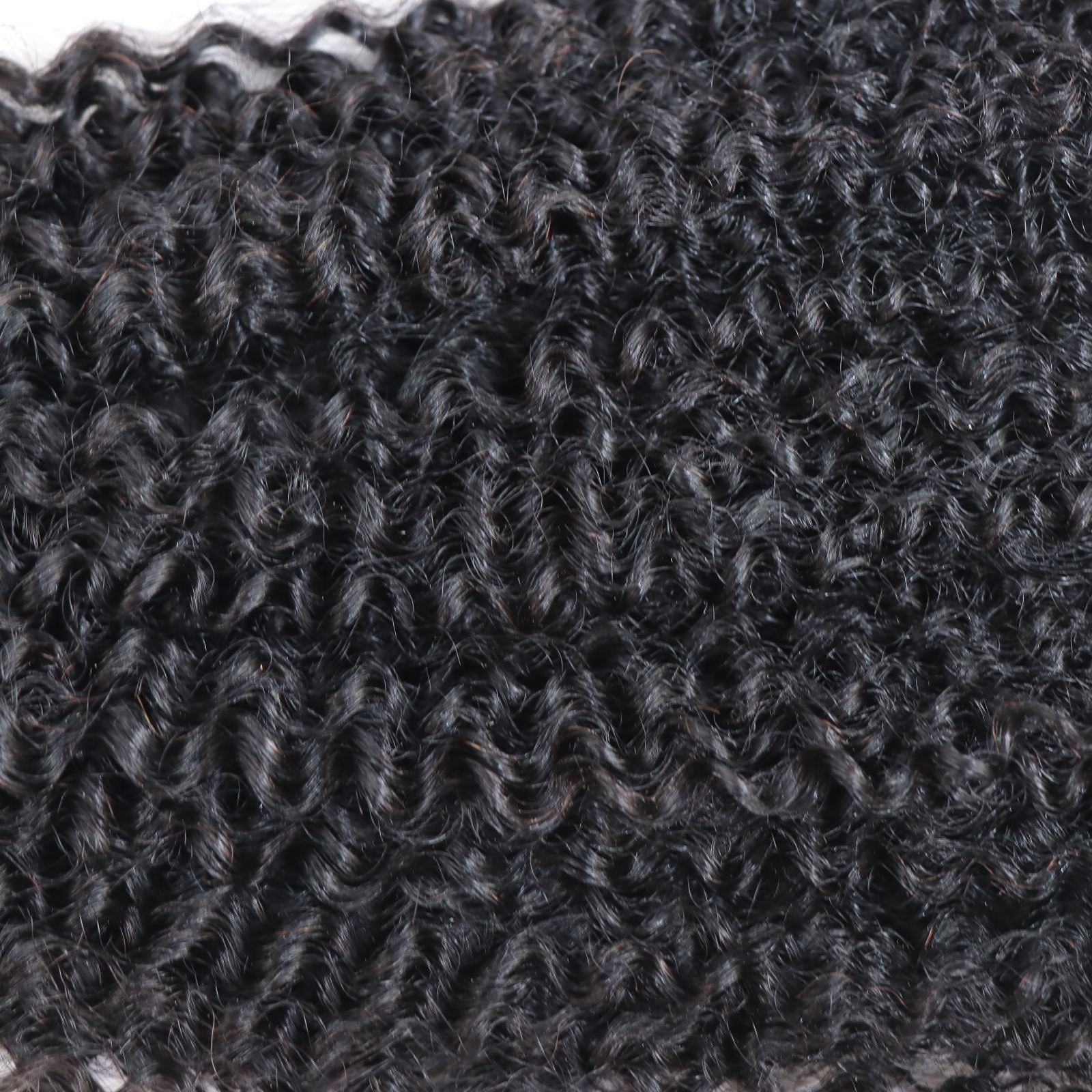 Kinky Curly Tape-in Hair Extensions
